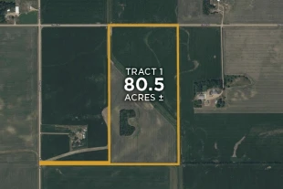 Redwood Co MN 80.5± Acres In 1 Tract