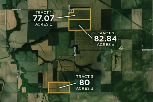 Morgan & Sangamon Co IL 239.91± Acres In 3 Tracts