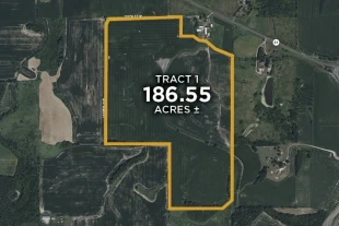 Rice Co MN 186± Acres In 1 Tract