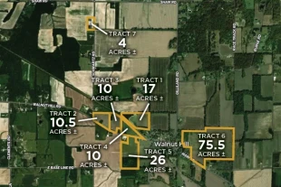 Marion Co IL 152.96± Acres In 7 Tracts