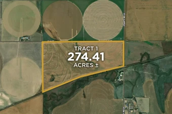 Thomas Co KS 271.41 +/- Acres In one tract