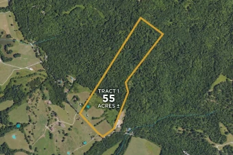 Franklin Co, KY 55± acres in 1 tract