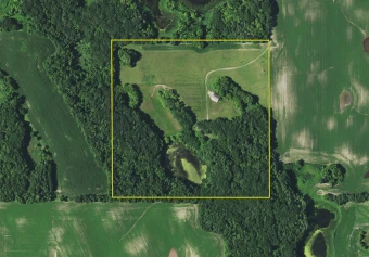 Otter Tail Co MN 40± Acres In 1 Tract