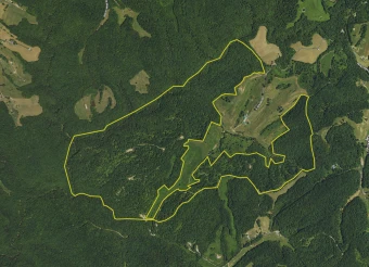 Elliott Co KY 483.14± Acres In 1 Tract