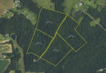Webster Co KY 133± Acres In 4 Tracts