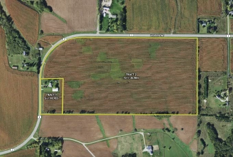 Olmsted Co MN 77± Acres In 2 Tracts