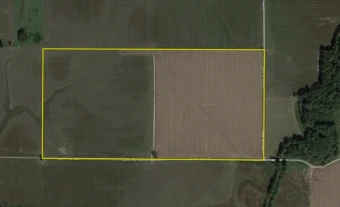 Wayne Co IL 80± Acres In 1 Tract