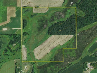 Stearns Co MN 150± Acres In 1 Tract