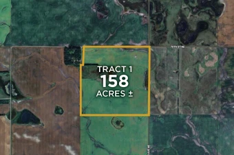 Walsh Co ND 158± Acres In 1 Tract