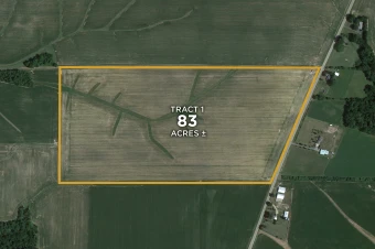Ogle Co IL 83± Acres In 1 Tract