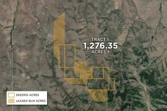 Owyhee Co ID 1276.35± Acres In 1 Tract