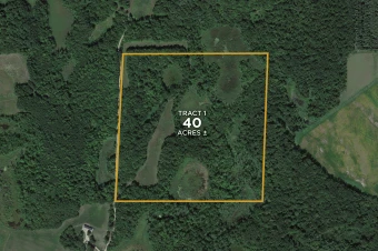 Otter Tail Co MN 40± Acres In 1 Tract