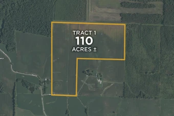 Pulaski Co IL 110± Acres In 1 Tract
