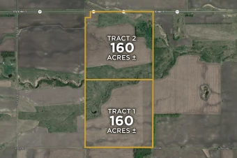 Walsh Co ND 320± Acres In 2 Tracts