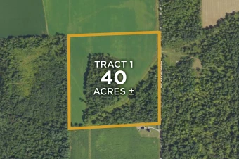 Sanilac Co MI 40± Acres In 1 Tract