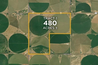 Alamosa Co CO 480± Acres In 1 Tract