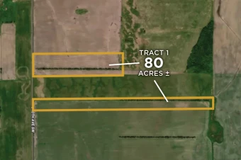 Polk Co MN 80± Acres In 1 Tract