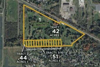 Shiawassee Co MI 50± Acres In 16 Tracts