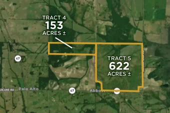 Clay Co MS 775± Acres In 2 Tracts