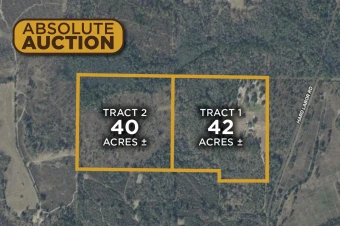 Washington Co FL 82± Acres In 2 Tracts