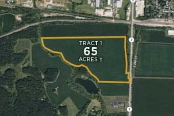 Ogle Co IL 65± Acres In 1 Tract