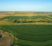 303 +/- Acres Offered In One Tract Near Elwood, NE