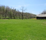 Diverse Property With Great Access Near Ripley, WV
