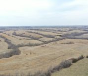 Expiring CRP Farm to Convert to Tillable with Great Hunting in Mercer Co MO
