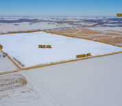 Highly Productive Row Crop Farm in Southeast Iowa Selling ABSOLUTE