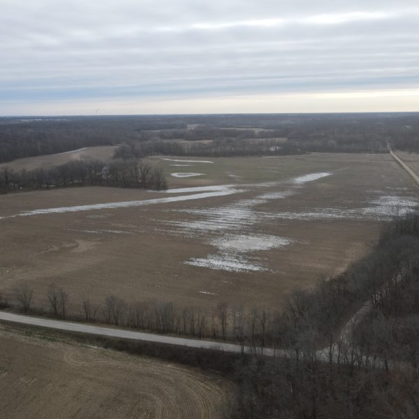 Highly Productive Farm in Shelby County IL