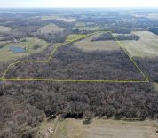 Mix Timber And Open Fields Near Thompsonville, IL