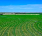 Productive Pivot Irrigated, Dryland And Fence Grass In Sheridan Co, KS