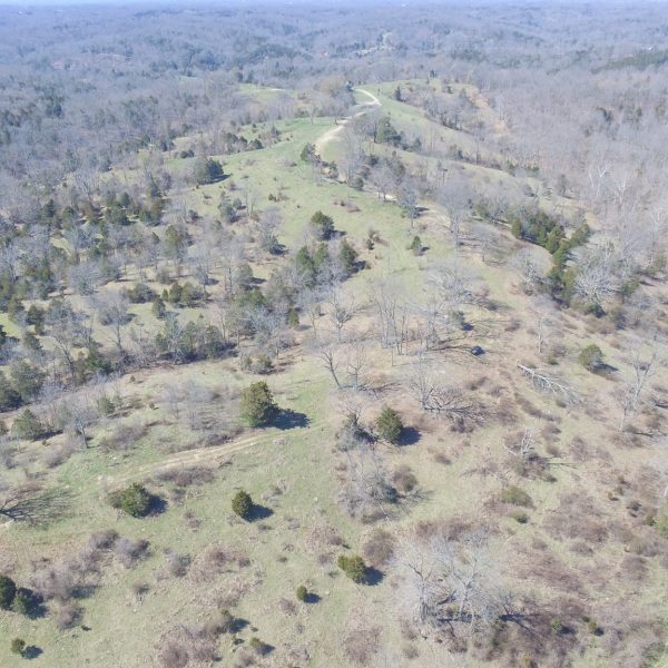 Recreational Tract With Cattle Opportunities In Franklin Co, KY