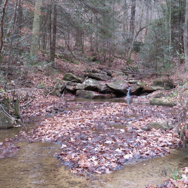 Secluded Hunting And Recreational Tract Near Charleston, WV