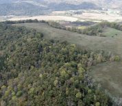 Secluded Hunting Tract With Income Potential In Houston Co, MN