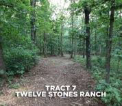 Twelve Stones Ranch Timber Tract Near Simmons Plant