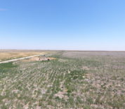 Well-Managed Farmland With Irrigation Potential