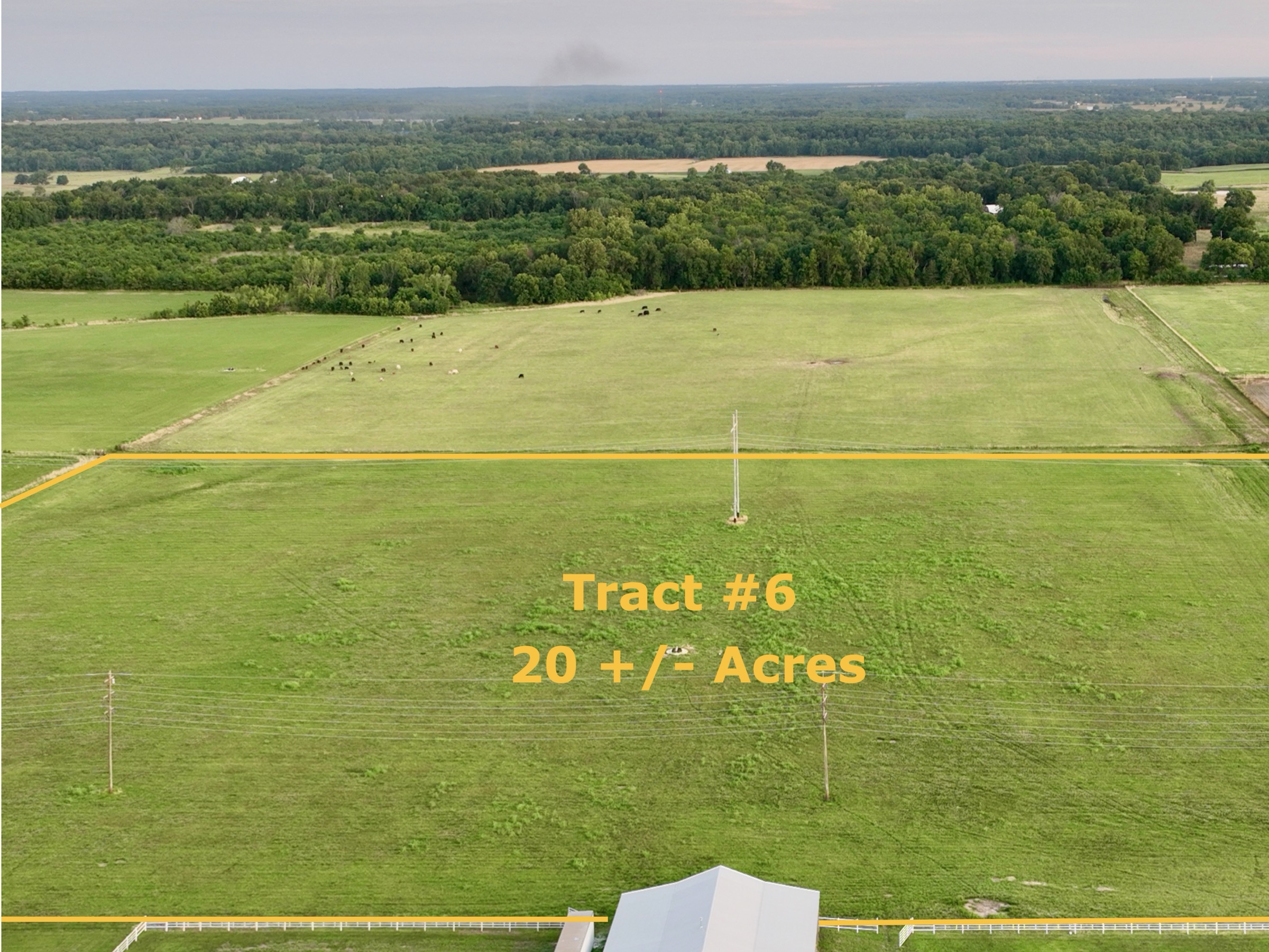 Tract 6 of 7: 20± acres