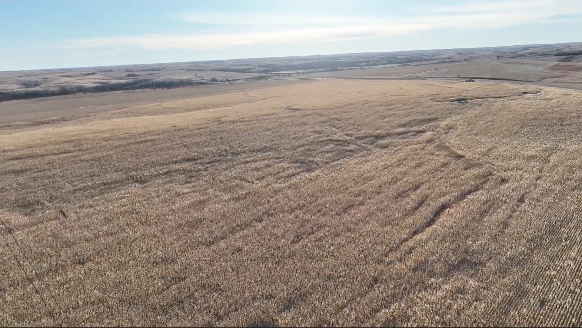 Tract 1. 148.04 +/- Acres in Phillips Co KS - 