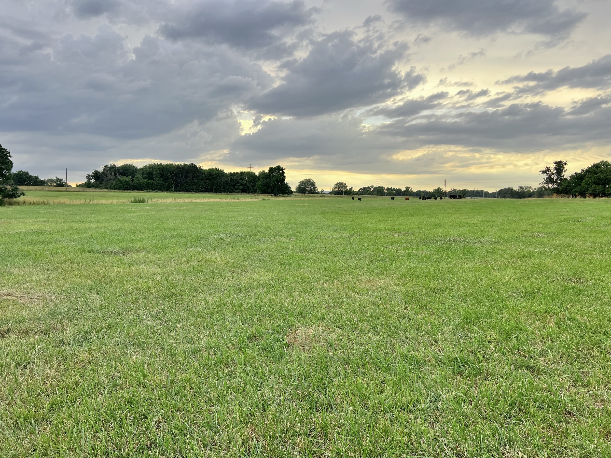 Tract 4 of 7: 15± acres - 