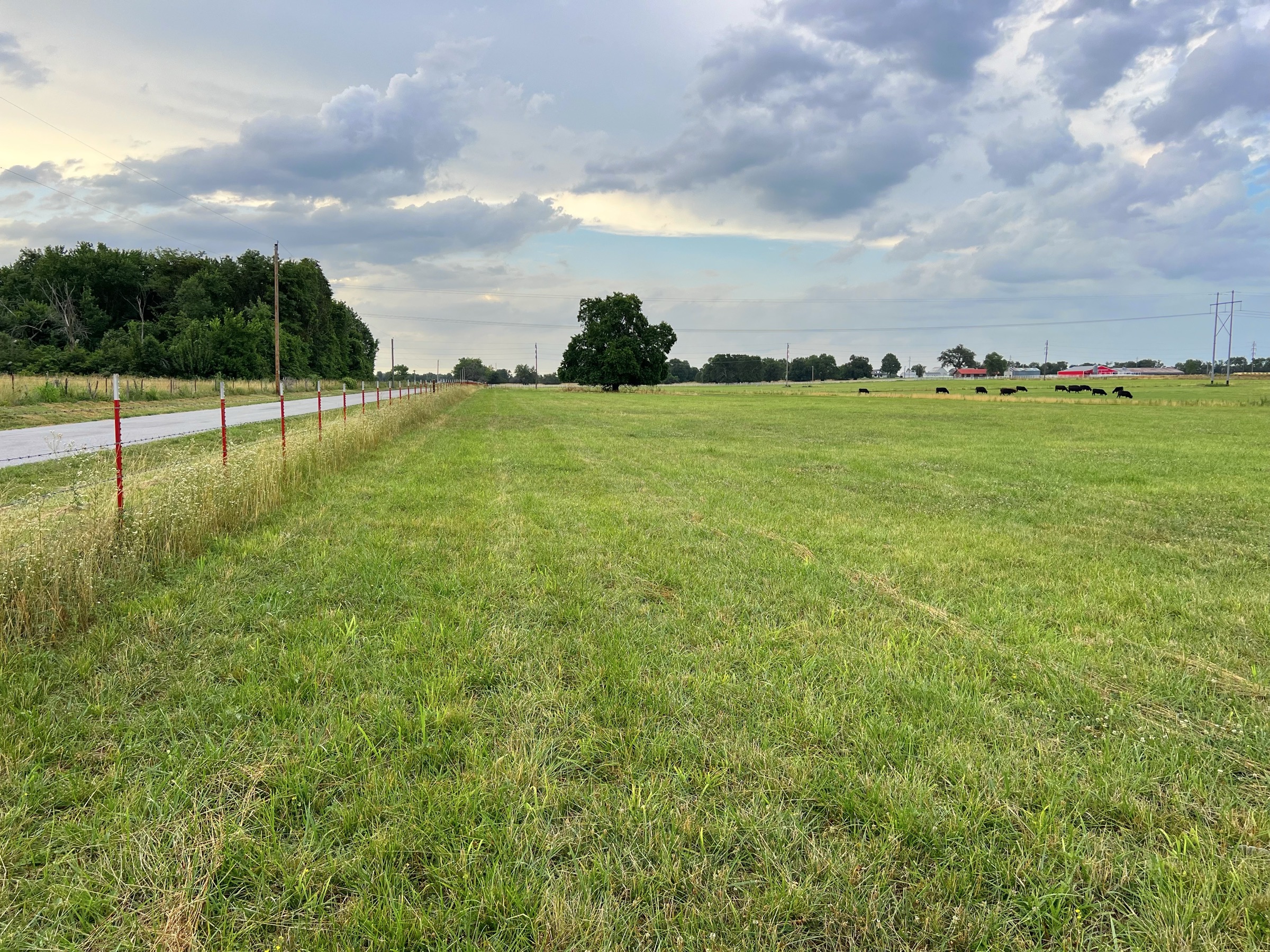 Tract 4 of 7: 15± acres - 