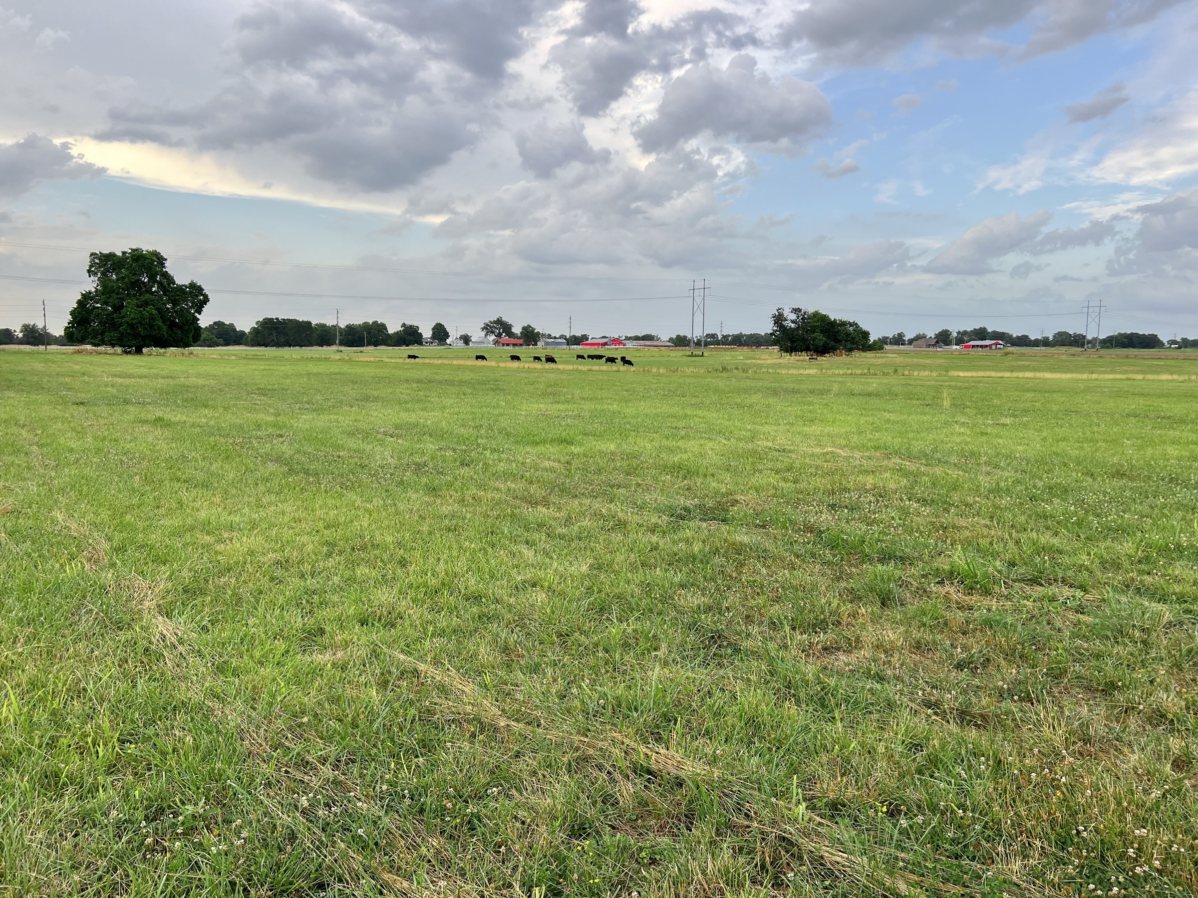 Tract 4 of 7: 15± acres - 