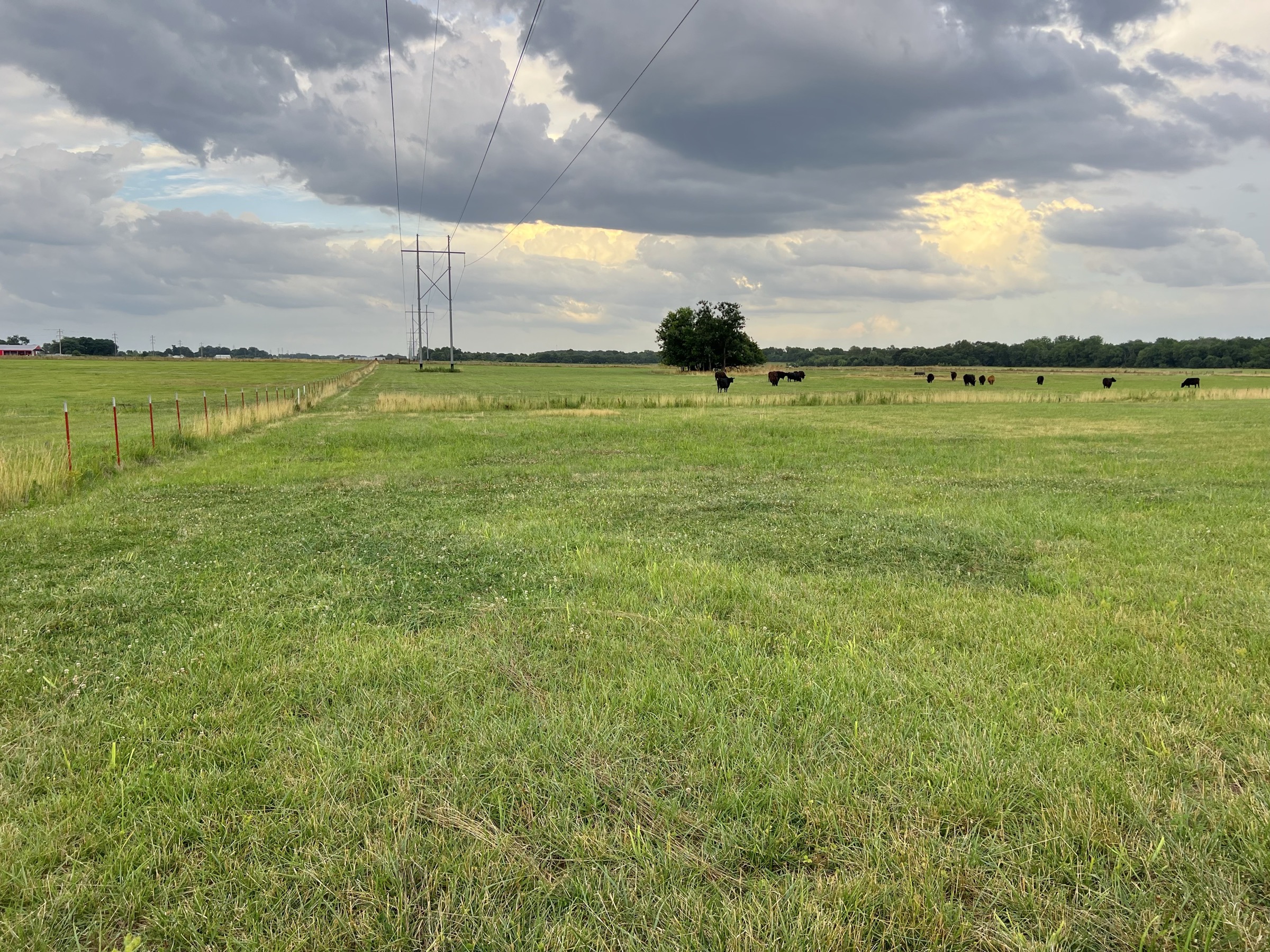 Tract 4 of 7: 15± acres - 