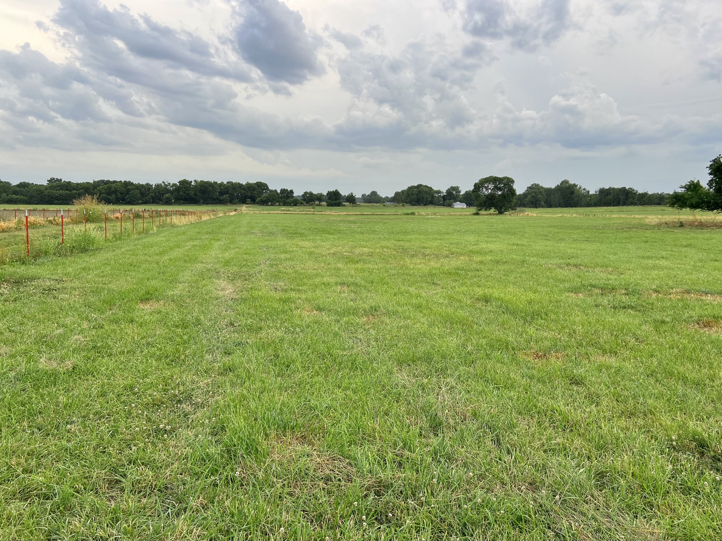 Tract 4 of 7: 15± acres - 