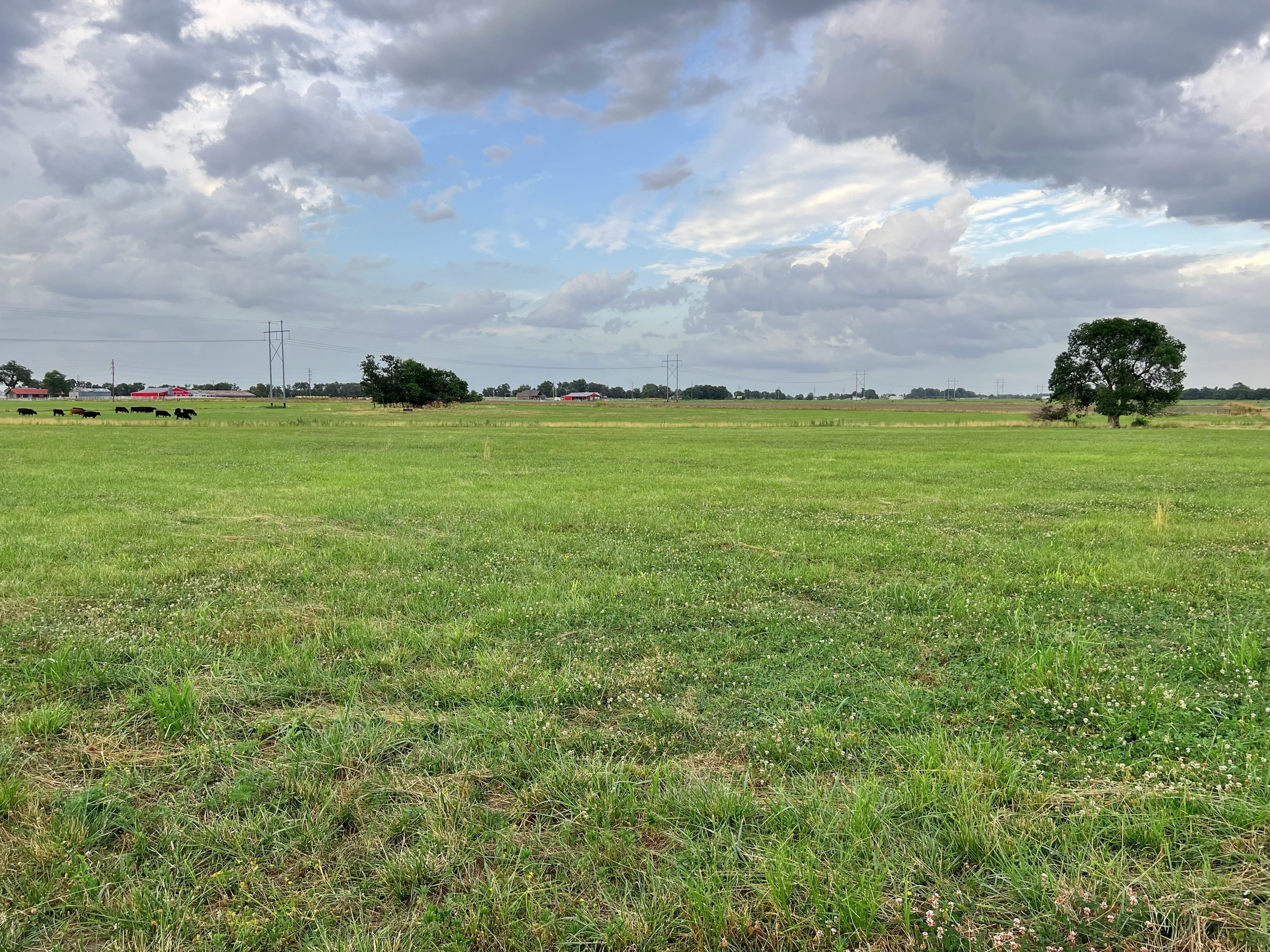 Tract 4 of 7: 15± acres - 