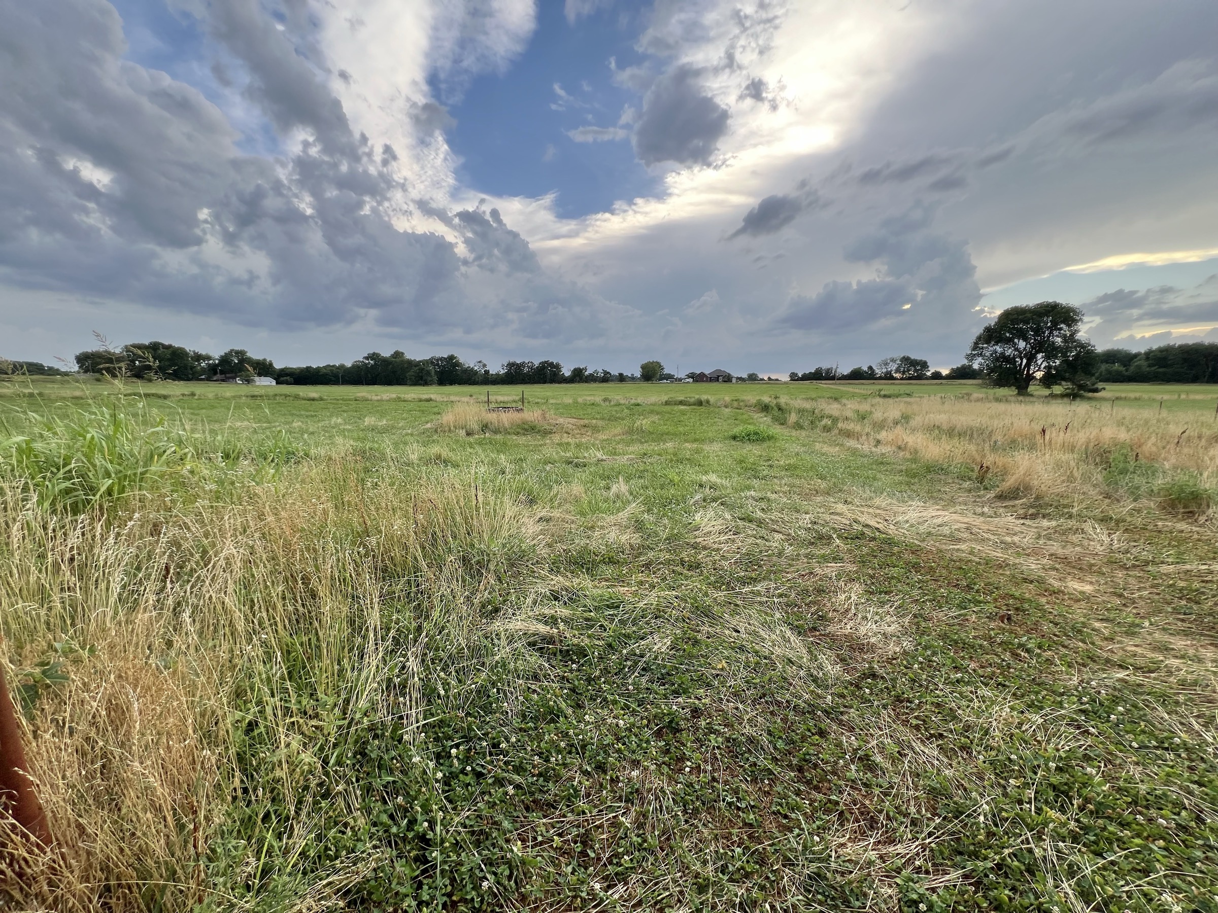 Tract 5 of 7: 34± acres - 