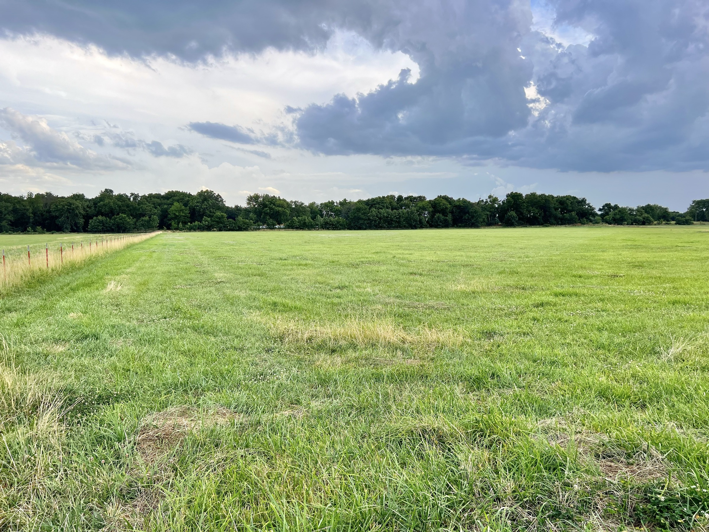 Tract 5 of 7: 34± acres - 