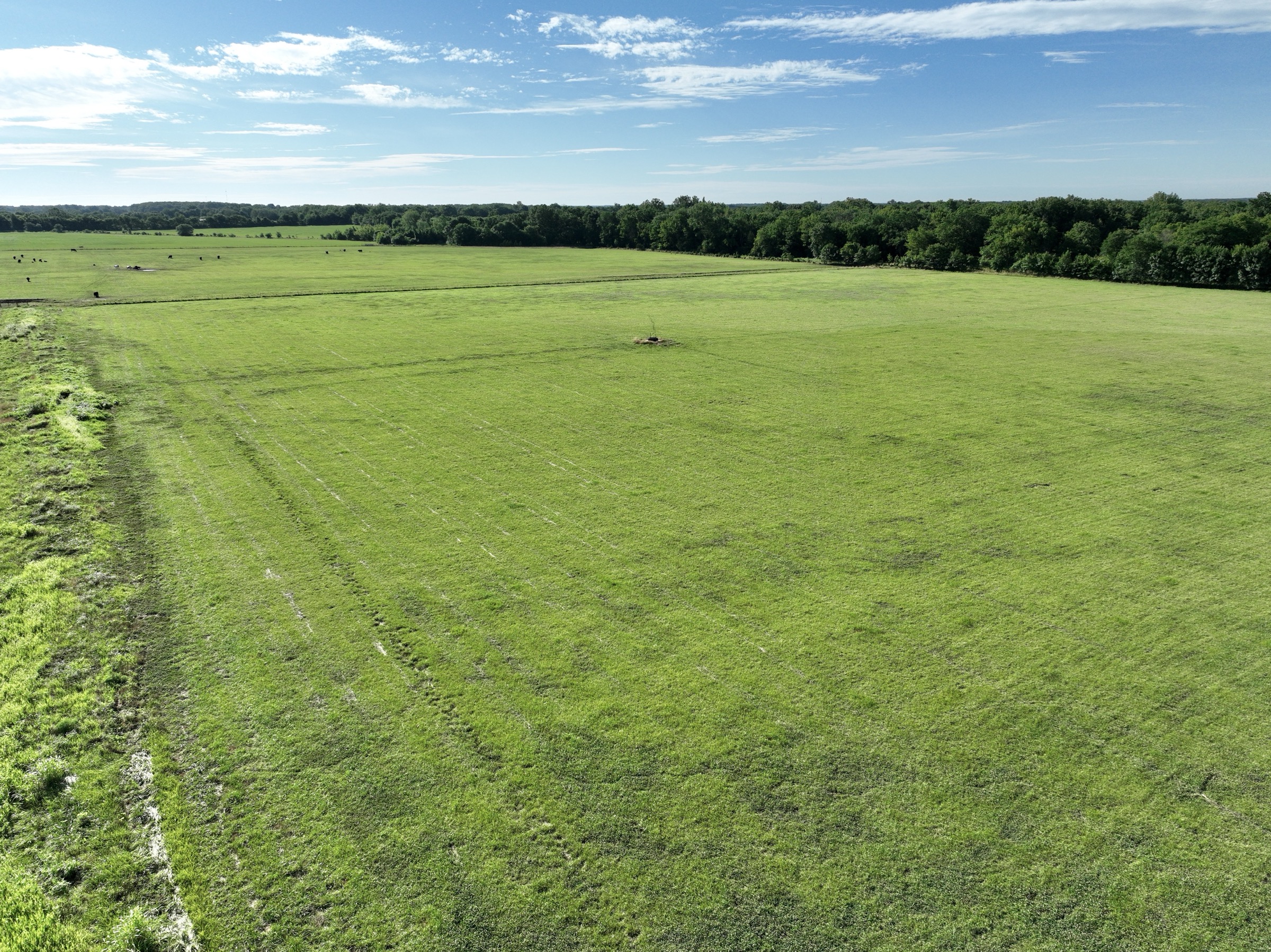 Tract 5 of 7: 34± acres - 