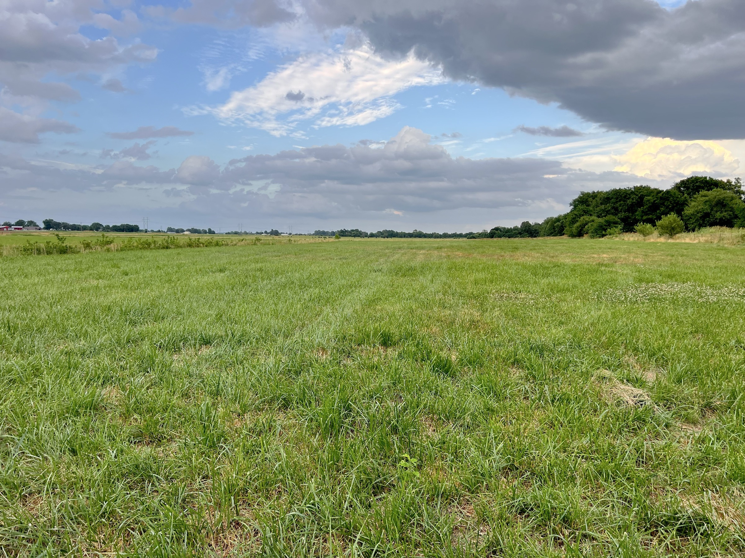 Tract 5 of 7: 34± acres - 