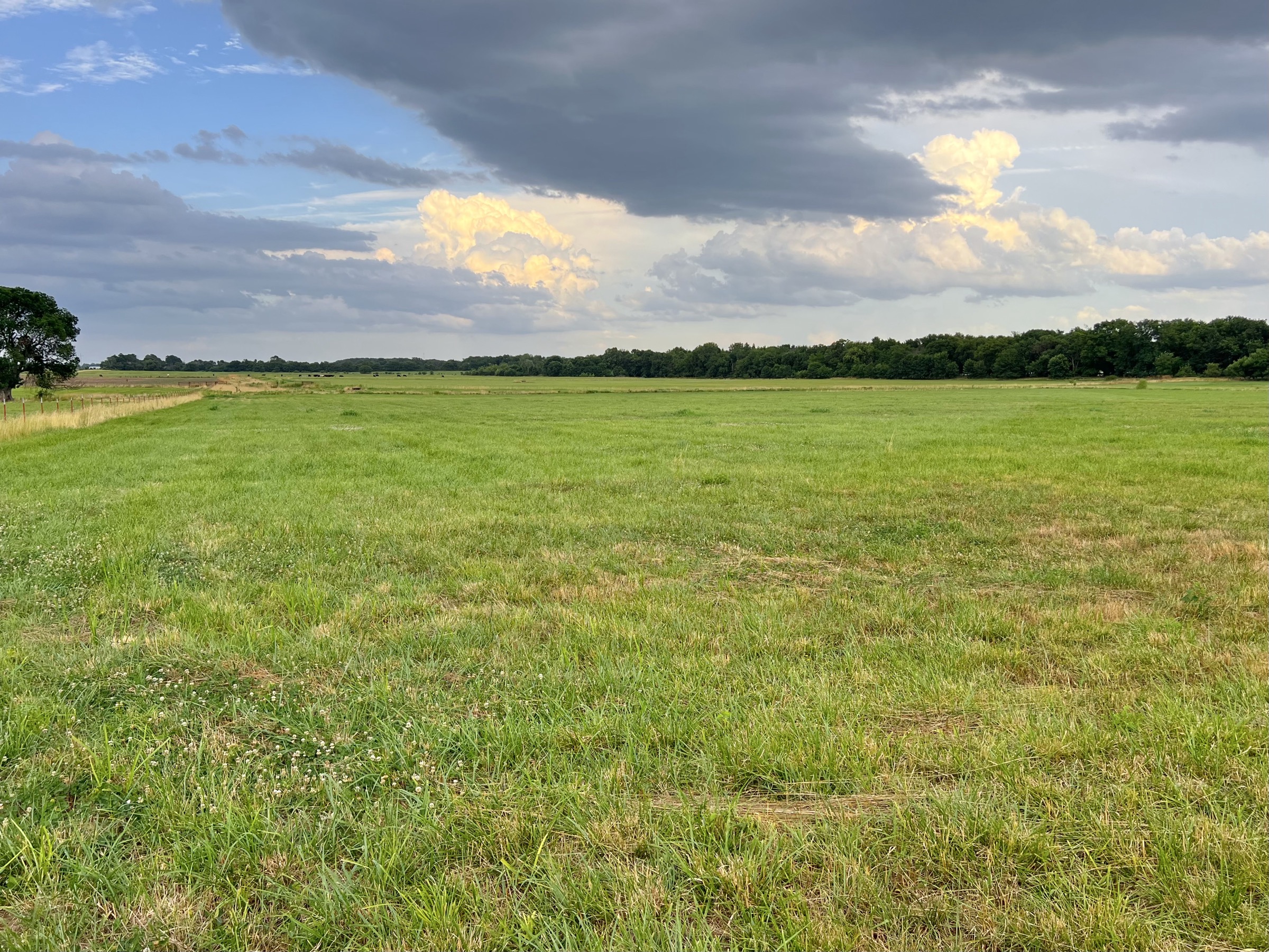 Tract 5 of 7: 34± acres - 